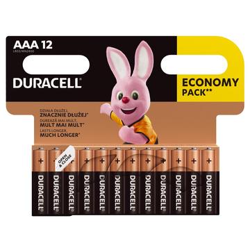 Duracell Basic LR03/AAA Alkaline batterijen - 12 stuks.