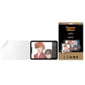 iPad Mini (2021) PanzerGlass GraphicPaper Glazen Screenprotector